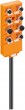 asbv8led